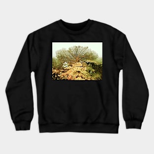 UNTOUCHED SELDOM SEEN Crewneck Sweatshirt